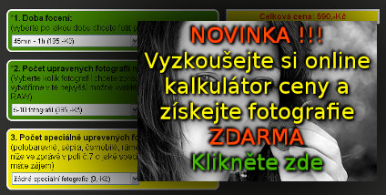novinka online kalkultor ceny focen portrt